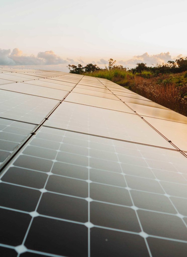 Ground mounted solar panels in a field at sunset.