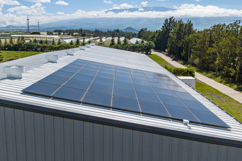 Solar panels on the roof of a warehouse.